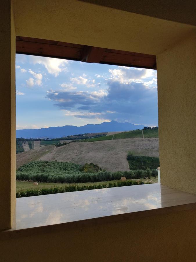 Agriturismo Terra Dei Falchi Castilenti ภายนอก รูปภาพ