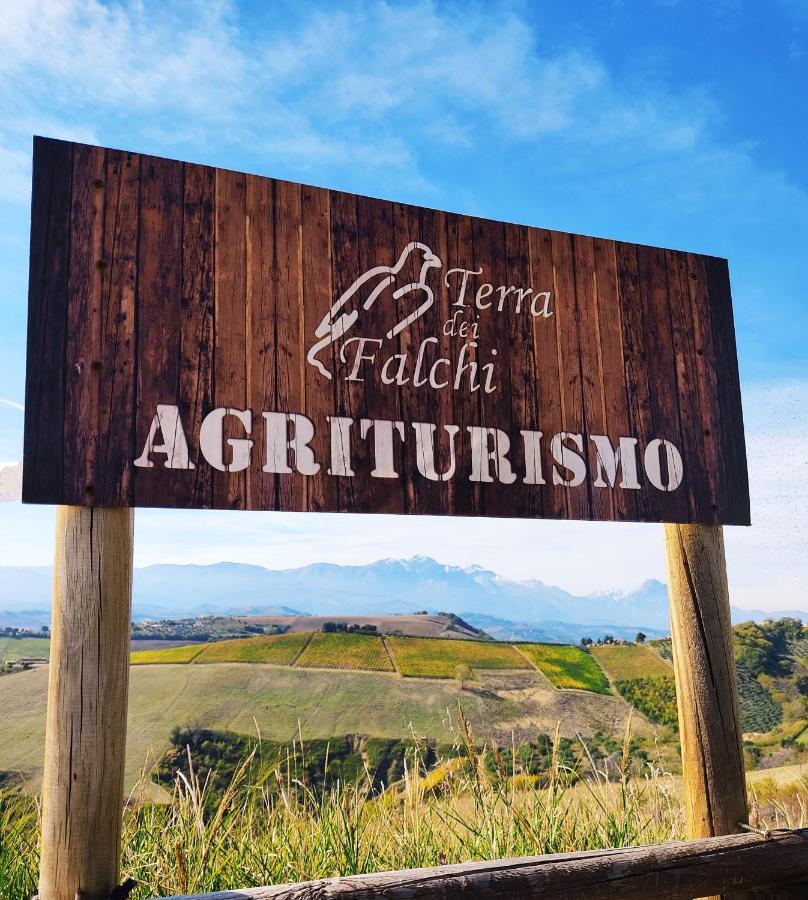 Agriturismo Terra Dei Falchi Castilenti ภายนอก รูปภาพ