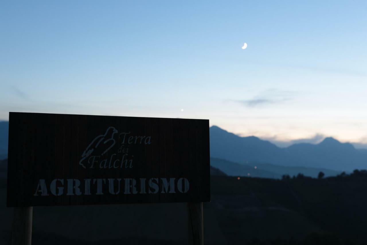 Agriturismo Terra Dei Falchi Castilenti ภายนอก รูปภาพ