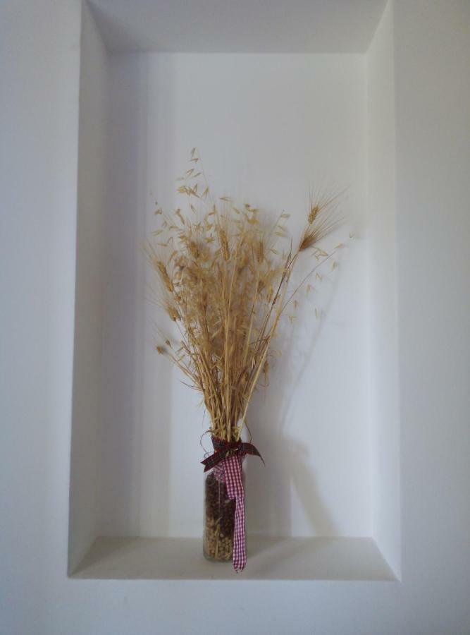 Agriturismo Terra Dei Falchi Castilenti ภายนอก รูปภาพ